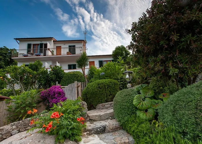 Boutique Ilio